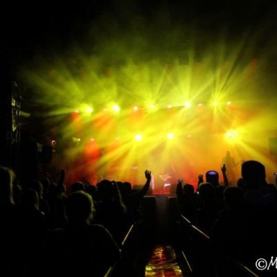 Pszczółki, 07.09.2014 r., fot. Mandi Pigulska - facebook.com/MandiRockography